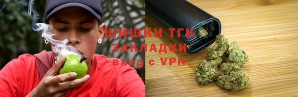 МДПВ Карпинск