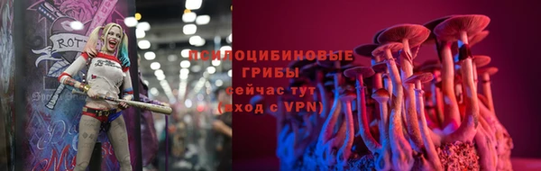 ALPHA PVP Каменногорск