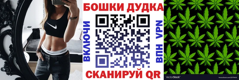 Конопля OG Kush  Купить закладки  Заводоуковск 